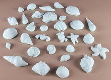 30 x Edible 3D seashells shells shells icing toppers, cake cupcakes decorations T007