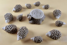 13 Piece Edible 3D Hedgehog Set, icing, cupcake toppers T143