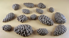 15 x Edible 3D Pinecone Set, icing, cupcake, cake, toppers T145