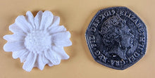 20 x Edible 3D 30mm daisies daisy flowers icing toppers, cake cupcakes decorations T015