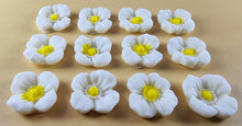 12 x Edible 3D 20mm flowers icing toppers, cake cupcakes decorations T106