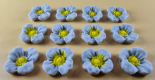 12 x Edible 3D 20mm flowers icing toppers, cake cupcakes decorations T106
