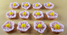 12 x Edible 3D 20mm flowers icing toppers, cake cupcakes decorations T105