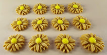 12 x Edible 3D 20mm Daisies Daisy flowers icing toppers, cake cupcakes T115