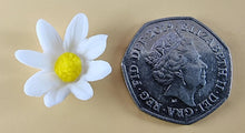 15 x Edible 3D Daisy Flowers Daisies icing toppers, cake cupcakes decorations T099