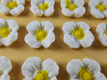 12 x Edible 3D 20mm flowers icing toppers, cake cupcakes decorations T106