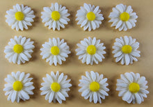12 x Edible 3D 20mm Daisies Daisy flowers icing toppers, cake cupcakes T115