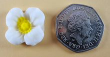 12 x Edible 3D 20mm flowers icing toppers, cake cupcakes decorations T106