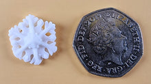 20 x Edible 3D 20mm Small Snowflakes icing toppers, cake cupcakes decorations T062
