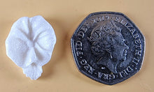 20 x Edible 3D 18mm flower flowers icing toppers, cake cupcakes decorations T033