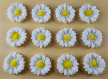 12 x Edible 3D 22mm flowers icing toppers, cake cupcakes decorations T104