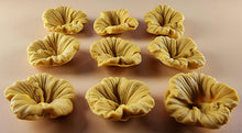 9 x Edible 3D 38mm Hibiscus flower flowers, icing toppers, cake cupcakes decorations T035