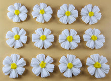 12 x Edible 3D 25mm Daisies Daisy flowers icing toppers, cake cupcakes T116