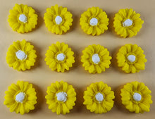 12 x Edible 3D 22mm flowers icing toppers, cake cupcakes decorations T104