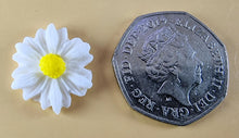 12 x Edible 3D 15mm Daisies Daisy flowers icing toppers, cake cupcakes T114