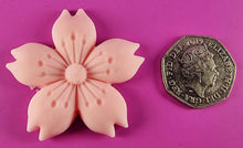 9 x Edible 3D 50mm Cherry Blossoms icing toppers, cake cupcakes decorations T052