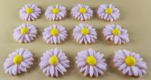 12 x Edible 3D 20mm Daisies Daisy flowers icing toppers, cake cupcakes T115