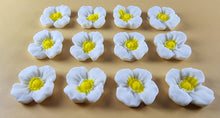 12 x Edible 3D 20mm flowers icing toppers, cake cupcakes decorations T106