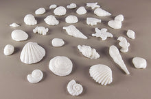 30 x Edible 3D seashells shells shells icing toppers, cake cupcakes decorations T007