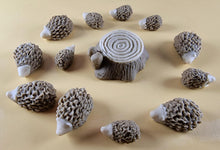 13 Piece Edible 3D Hedgehog Set, icing, cupcake toppers T143