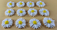 12 x Edible 3D 20mm Daisies Daisy flowers icing toppers, cake cupcakes T115