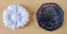 20 x Edible 3D 20mm flower flowers icing toppers, cake cupcakes decorations T020