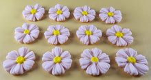 12 x Edible 3D 25mm Daisies Daisy flowers icing toppers, cake cupcakes T116