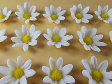 15 x Edible 3D Daisy Flowers Daisies icing toppers, cake cupcakes decorations T099