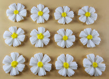 12 x Edible 3D 25mm Daisies Daisy flowers icing toppers, cake cupcakes T116