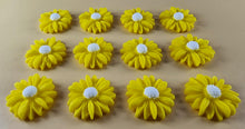 12 x Edible 3D 20mm Daisies Daisy flowers icing toppers, cake cupcakes T115