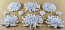 10 x Edible 3D 50mm Chrysanthemum Flower Set icing toppers, cake cupcakes T111