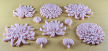 10 x Edible 3D 50mm Chrysanthemum Flower Set icing toppers, cake cupcakes T111