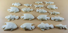 18 x Edible 3D 40mm Fish Set, icing toppers, cake cupcakes decorations T073