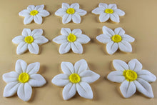 9 x Edible 3D 40mm Wild daffodil Flowers icing toppers, cake cupcakes T121