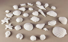 30 x Edible 3D seashells shells shells icing toppers, cake cupcakes decorations T007