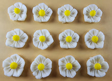 12 x Edible 3D 20mm flowers icing toppers, cake cupcakes decorations T105