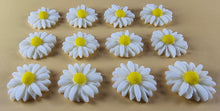 12 x Edible 3D 20mm Daisies Daisy flowers icing toppers, cake cupcakes T115