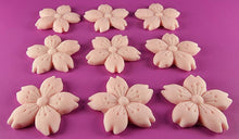 9 x Edible 3D 40mm Cherry Blossoms icing toppers, cake cupcakes decorations T051