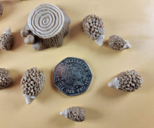 13 Piece Edible 3D Hedgehog Set, icing, cupcake toppers T143