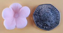 20 x Edible 3D 25mm Cherry Blossoms Flowers, icing toppers, cake cupcakes decorations T069
