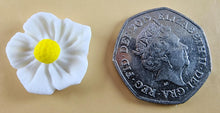 12 x Edible 3D 20mm flowers icing toppers, cake cupcakes decorations T105