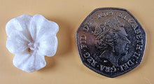 20 x Edible 3D 20mm flower flowers icing toppers, cake cupcakes decorations T027