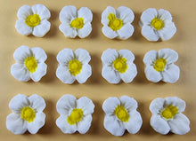 12 x Edible 3D 20mm flowers icing toppers, cake cupcakes decorations T106