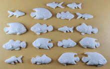 18 x Edible 3D 40mm Fish Set, icing toppers, cake cupcakes decorations T073