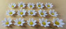 15 x Edible 3D Daisy Flowers Daisies icing toppers, cake cupcakes decorations T099