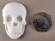 20 x Edible 3D 50mm Skull and Bones set icing toppers, cake cupcakes decorations T057