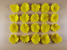 20 x Edible 3D 30mm Primula Primrose Flowers, icing toppers, cake cupcakes decorations T068