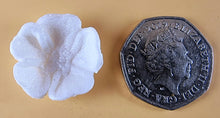 20 x Edible 3D 25mm Buttercup flowers icing toppers, cake cupcakes decorations T045
