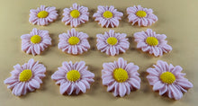 12 x Edible 3D 30mm Daisies Daisy flowers icing toppers, cake cupcakes T117