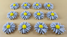 12 x Edible 3D 20mm Daisies Daisy flowers icing toppers, cake cupcakes T115